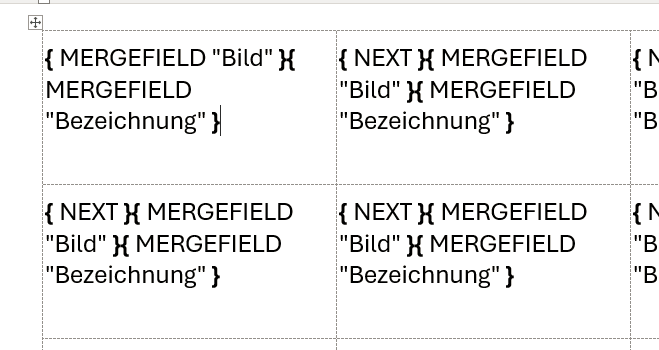Feldfunktionen.png
