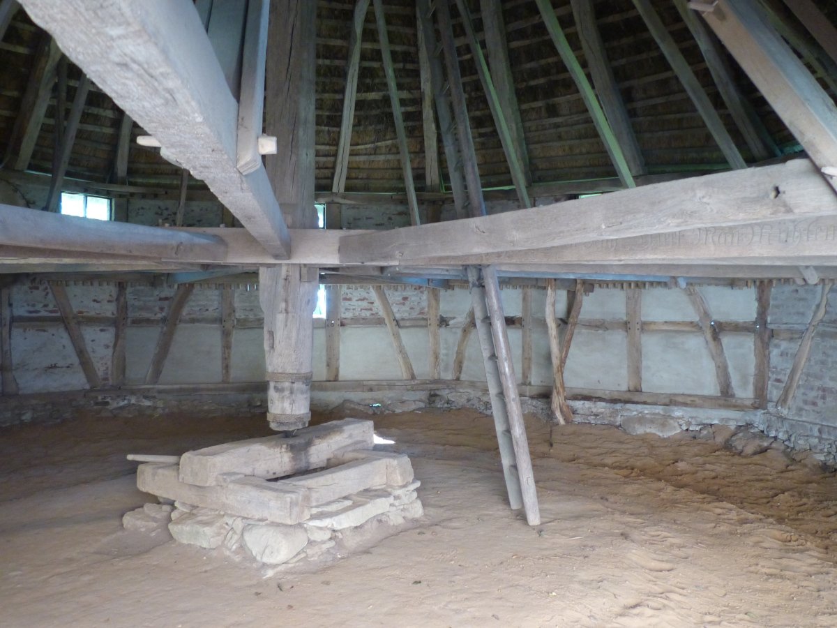 P1010204.JPG