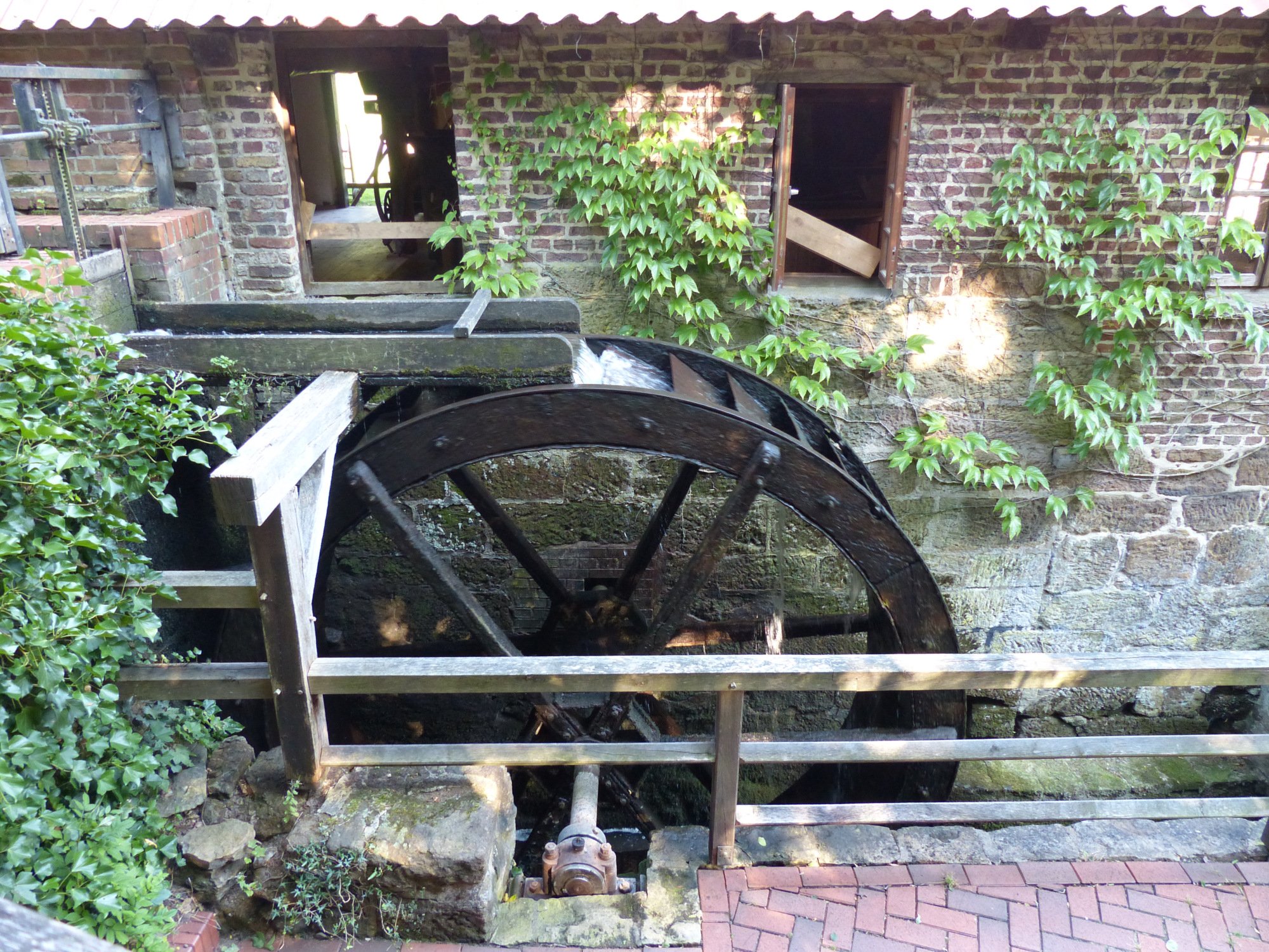 P1010213.JPG