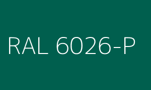 R6026-P.png