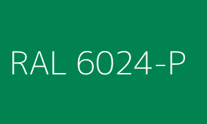 R6024-P.png