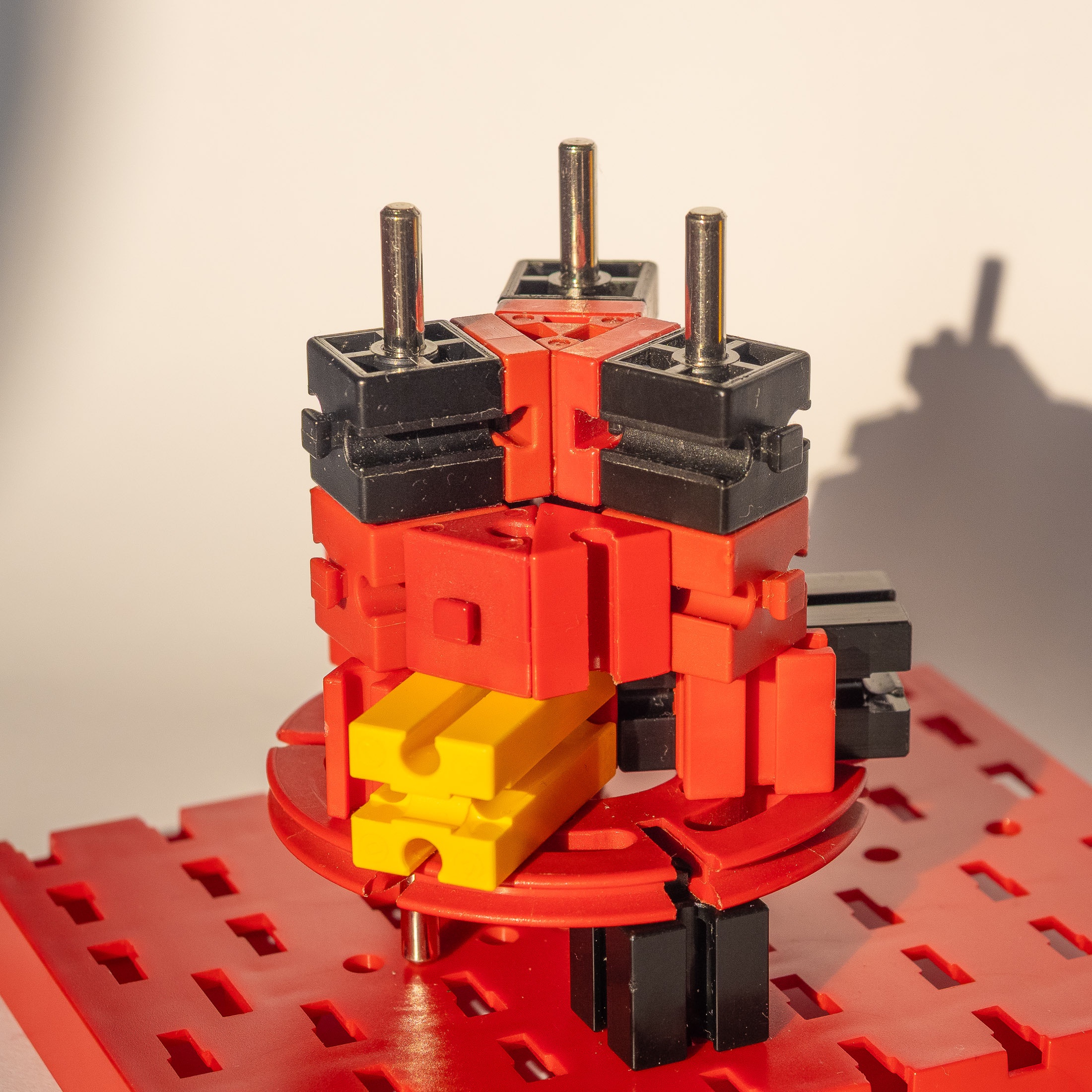 P1191789bearbOWZ.jpg