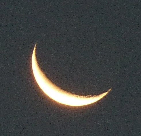Ellipsenzeichner02.jpg